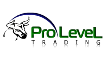 Pro-Level Trading-Addison TX